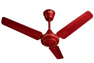 fan